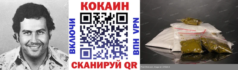 где можно купить   Олонец  COCAIN Перу 