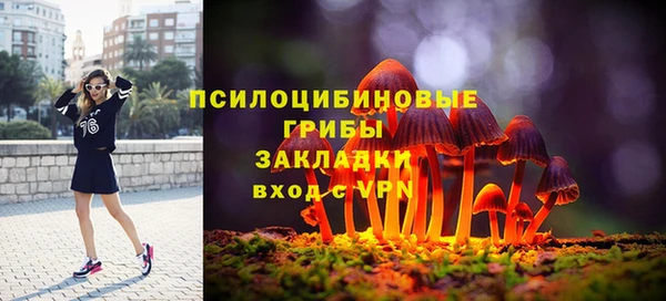 спайс Алексин