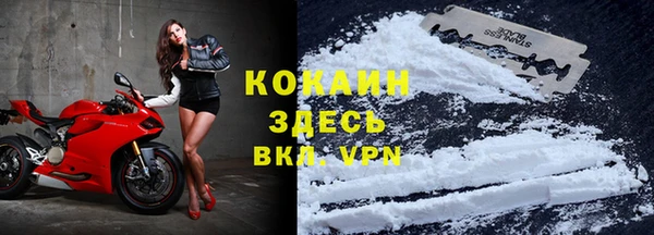 спайс Алексин