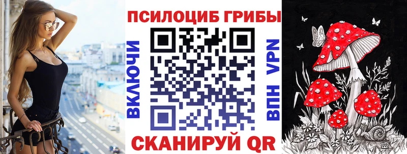 blacksprut зеркало Олонец Псилоцибиновые грибы мицелий